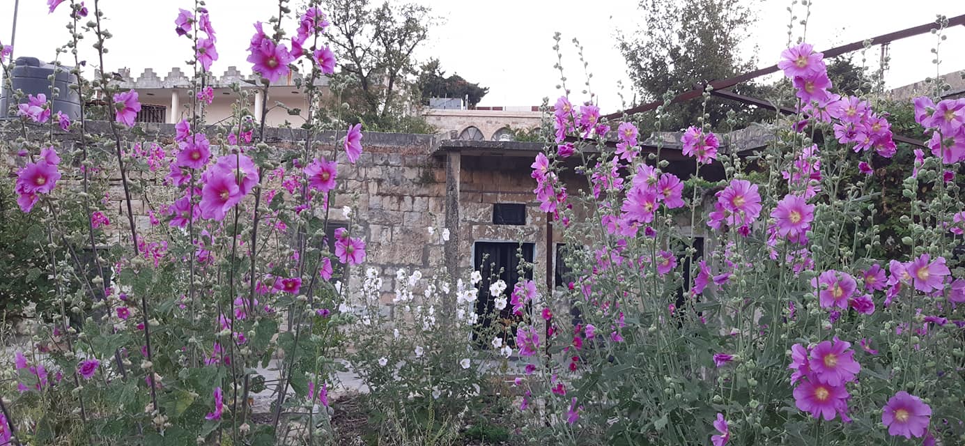 The Everlasting House: An innovative cyclical cultural model amidst the catastrophes in Lebanon